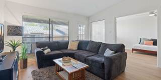 1101 Hollow Creek Drive Gallery 1