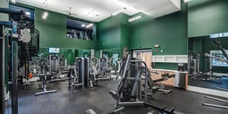 Solmar on Sixth Solmar on Sixth Gallery 8