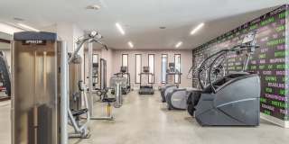 Maven at Wheaton Gallery 15