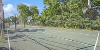 Nautilus Point Gallery 14