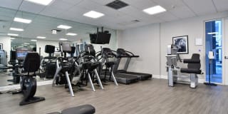 Legacy at 15th Gallery 22