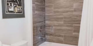 Tanager Tanager Gallery 76