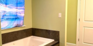 Wonderful bungalow in the 5 Points area. Close to Downtown Asheville! Working Solar for Electric! Gallery 15