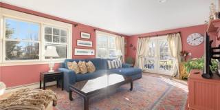 9 White Terrace Gallery 30