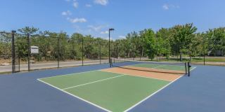 Fountain Lake Bradenton Gallery 24