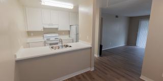 Greenback Gardens Gallery 16