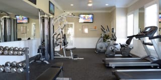 Thalia Gardens Gallery 13