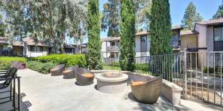 Pinewood Apartments Gallery 18