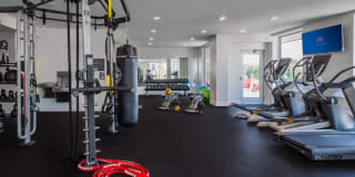 The Mastlight Gallery 10