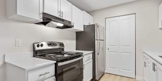 MonteVista Gallery 11