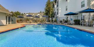 The Hazelwood Gallery 15