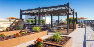 The Taft The Taft Gallery 48