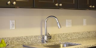 Broadleaf Boulevard Gallery 8