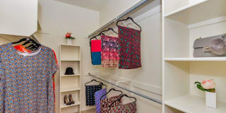 Ventura Vista Gallery 20