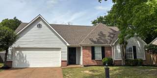 9532 Chi Chi Cv Gallery 1