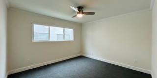 vet182 Gallery 13