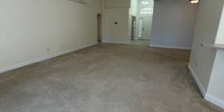 1459 Areca Palm Drive Gallery 19