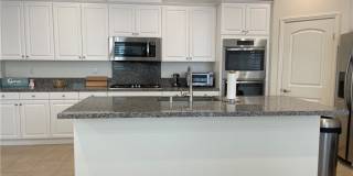 29657 Starring Gallery 10