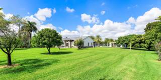 11173 Manatee Gallery 46