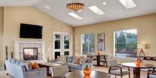 The Vintage Gallery 18