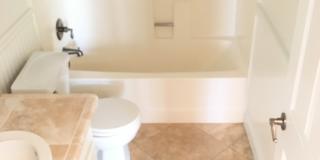 111 Tarocco Gallery 5