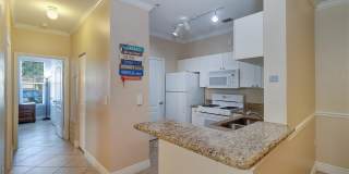 2724 VIA MURANO Gallery 10