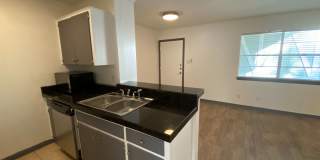 AVAILABLE:  2 BR-1 BA Hyde Park Condo / Laminate Wood Floors / Close to UT and Downtown Gallery 12