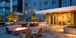 Sanctuary Gallery 11