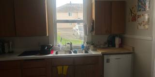 PRELEASE: Spacious 6+ bdrm/2 bath in York Neighborhood Gallery 11