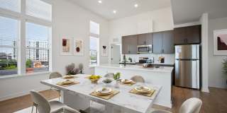 The Navigator The Navigator Gallery 2