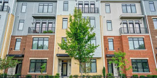 1018 RIBBON LIMESTONE Terrace SE Gallery 1