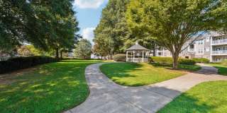 Tree Park Apartments Gallery 39