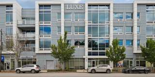 Luxe on Chicago Gallery 55