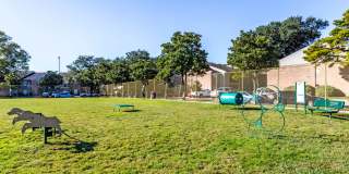 Reserve at City Center North Gallery 12