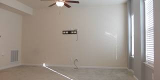 COMING SOON - Occupied Gallery 6