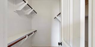 3310 Travis Cole Gallery 1