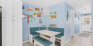 Dolphin Beach Gallery 5
