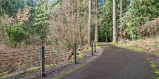 Fir Grove Gallery 22