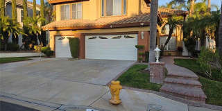 5680 Van Gogh Way Gallery 1