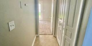 RoyalCeladon6454 Gallery 19