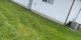 31779 Ryan Road Gallery 10