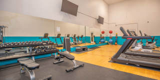 Metro on First Gallery 12