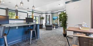 Olympus Fenwick Gallery 18