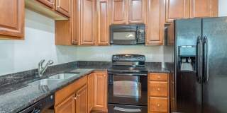 473 Panorama View Loop Gallery 4