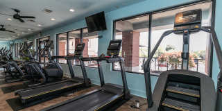 Berkeley Park Gallery 43