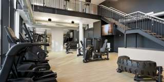 The Gauge Gallery 21