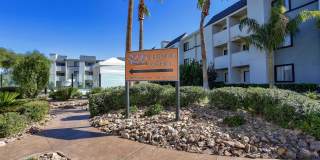 4200 Paradise Gallery 32