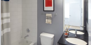 Ambassador Gallery 44