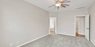 213 LIECK CV Gallery 7