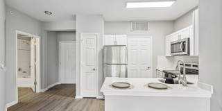 Nav850 at Olde Towne Gallery 25